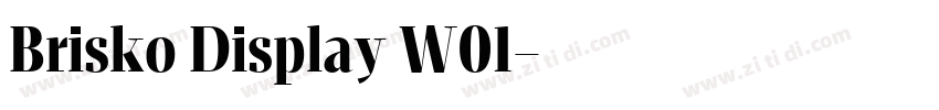 Brisko Display W01字体转换 Brisko Display W01字体转换